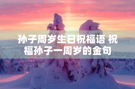 孙子周岁生日祝福语 祝福孙子一周岁的金句
