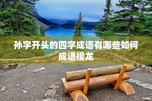 孙字开头的四字成语有哪些如何成语接龙