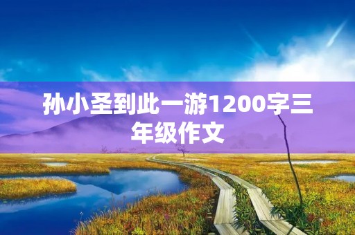 孙小圣到此一游1200字三年级作文 孙小圣到此一游1200字三年级作文