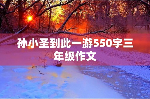 孙小圣到此一游550字三年级作文