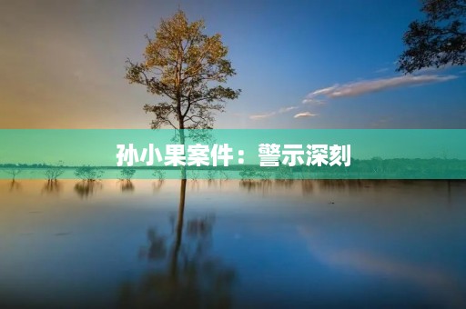 孙小果案件：警示深刻，反思长久