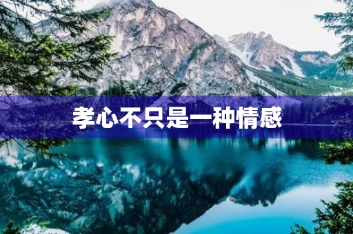 孝心不只是一种情感，更是一种品德