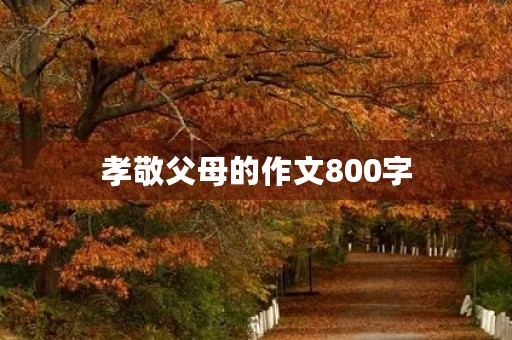 孝敬父母的作文800字 孝敬父母的作文800字