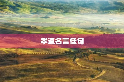 孝道名言佳句(孝道名言佳句与感恩有关)