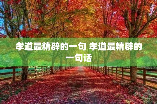 孝道最精辟的一句 孝道最精辟的一句话