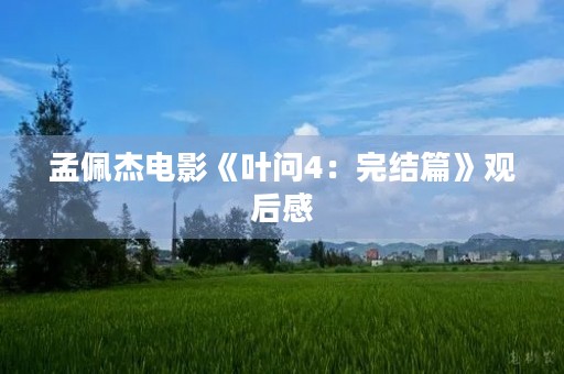 孟佩杰电影《叶问4：完结篇》观后感