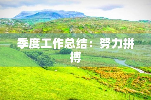 季度工作总结：努力拼搏，开拓创新