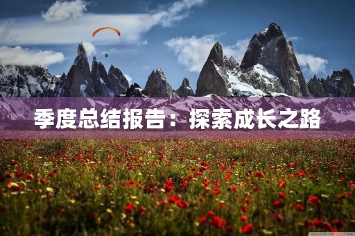 季度总结报告：探索成长之路