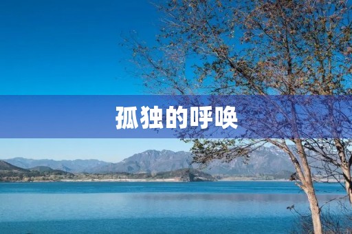 孤独的呼唤 孤独的呼唤