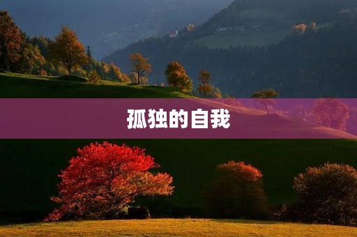 孤独的自我 孤独的自我