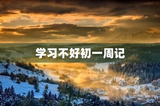 学习不好初一周记
