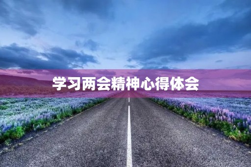 学习两会精神心得体会