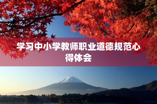 学习中小学教师职业道德规范心得体会