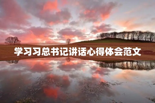 学习习总书记讲话心得体会范文