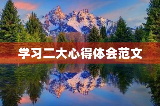 学习二大心得体会范文