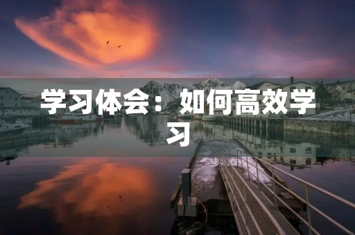 学习体会：如何高效学习