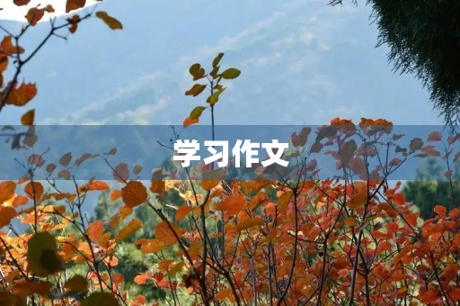 学习作文 学习作文