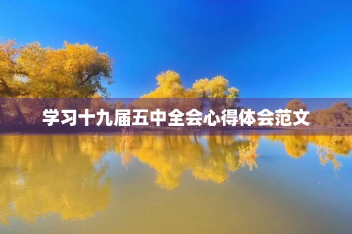 学习十九届五中全会心得体会范文