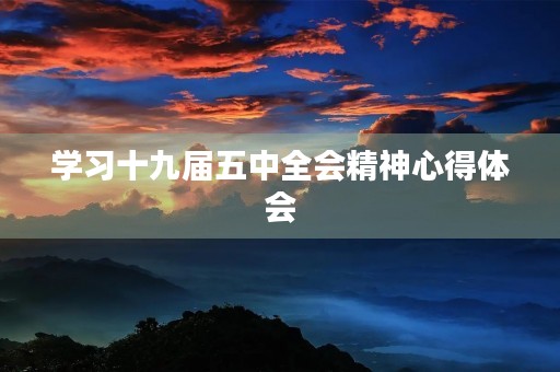 学习十九届五中全会精神心得体会 学习十九届五中全会精神心得体会