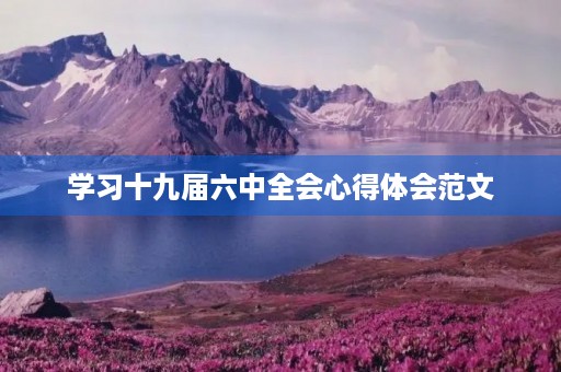 学习十九届六中全会心得体会范文