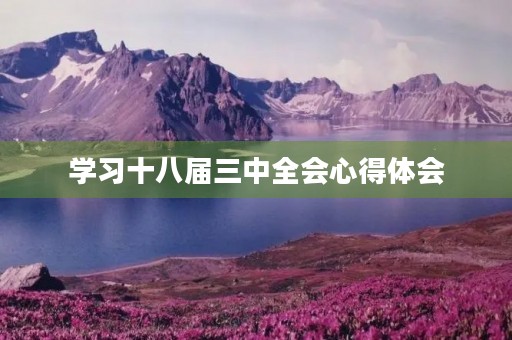 学习十八届三中全会心得体会