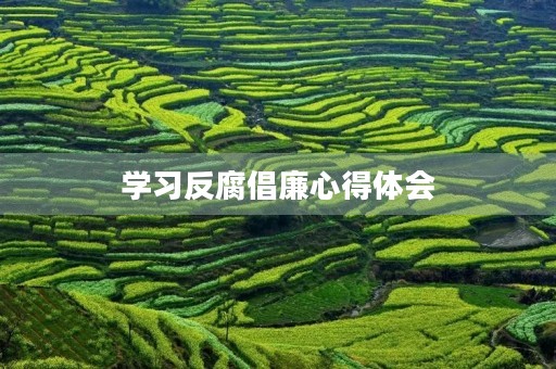 学习反腐倡廉心得体会 学习反腐倡廉心得体会
