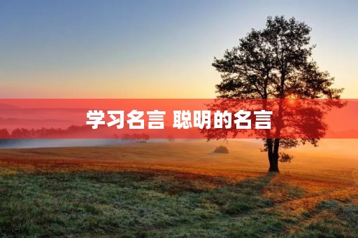 学习名言 聪明的名言 学习名言 聪明的名言