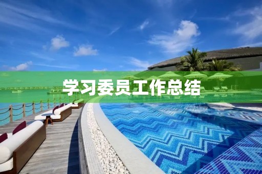 学习委员工作总结 学习委员工作总结
