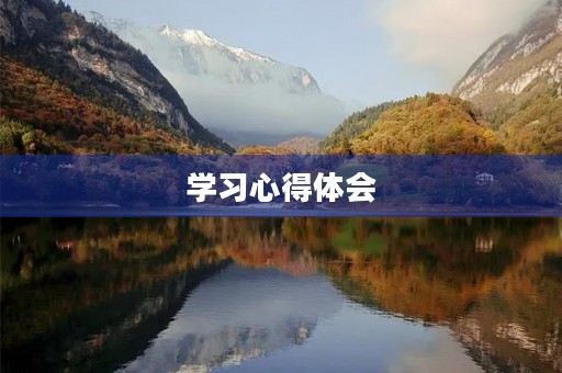 学习心得体会