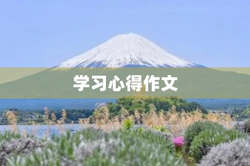 学习心得作文 学习心得作文