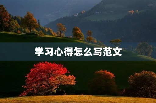 学习心得怎么写范文