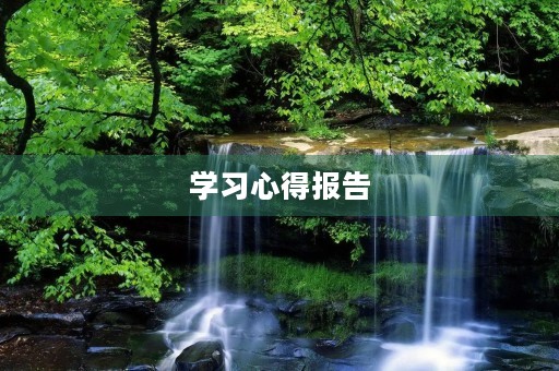 学习心得报告