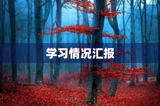 学习情况汇报 学习情况汇报