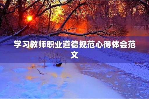 学习教师职业道德规范心得体会范文