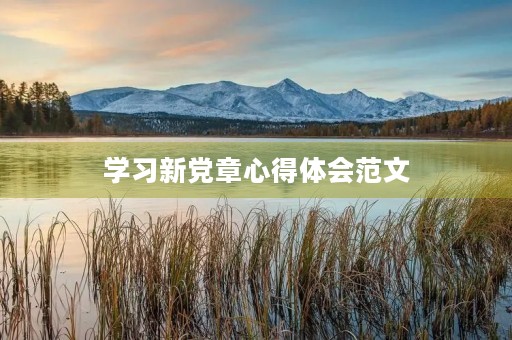 学习新党章心得体会范文