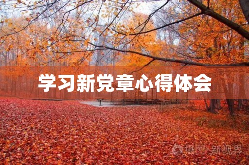 学习新**心得体会