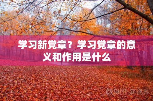 学习新**?学习**的意义和作用是什么 学习新**?学习**的意义和作用是什么