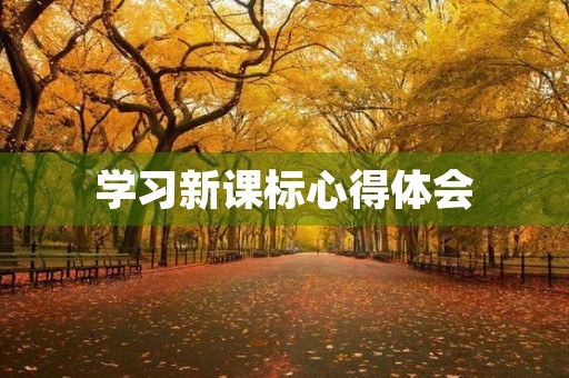 学习新课标心得体会