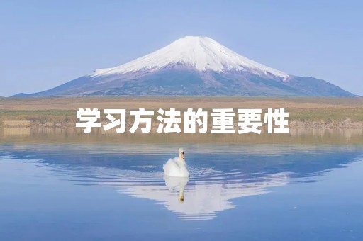 学习方法的重要性