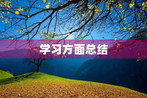 学习方面总结 学习方面总结