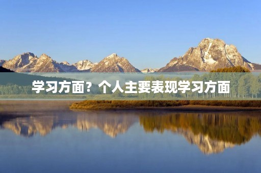 学习方面？个人主要表现学习方面