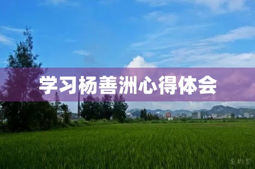 学习杨善洲心得体会 学习杨善洲心得体会
