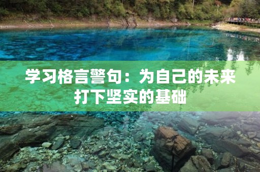 学习格言警句：为自己的未来打下坚实的基础