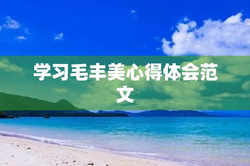 学习毛丰美心得体会范文