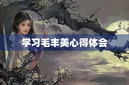 学习毛丰美心得体会