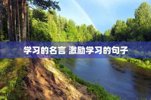 学习的名言 激励学习的句子