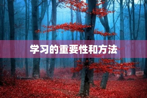 学习的重要性和方法