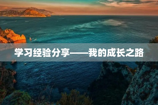 学习经验分享——我的成长之路