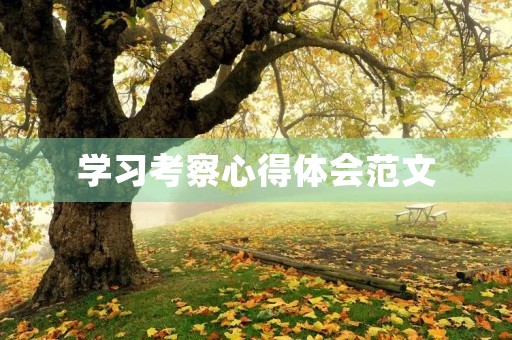 学习考察心得体会范文 学习考察心得体会范文