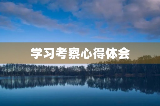 学习考察心得体会